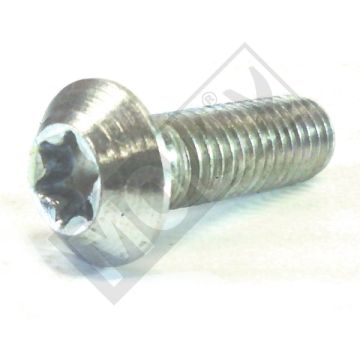 Brake disc bolt M8x25 (1.25) Peugeot Viva City 3 original