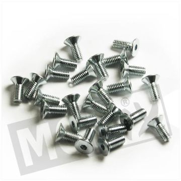 BRAKE PUMP COVER SCREW M4x10 (25)-214756b