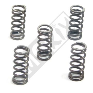 CLUTCH SPRING SET SENDA/GPR RACE