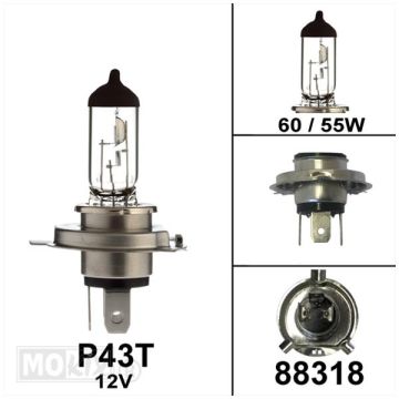 Bulb P43t H4 12V 60/55W-88318