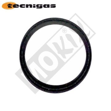 EXHAUST GASKET TECNIGAS TRIOPS