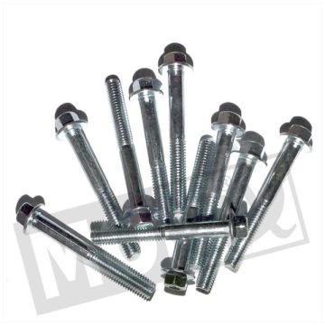 Flange crankcase bolts SW8 M6x50 blank 10 pieces