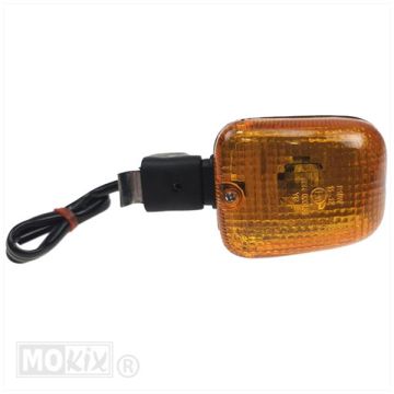 Aprilia leonardo 125 turn signal on the right rear Elec