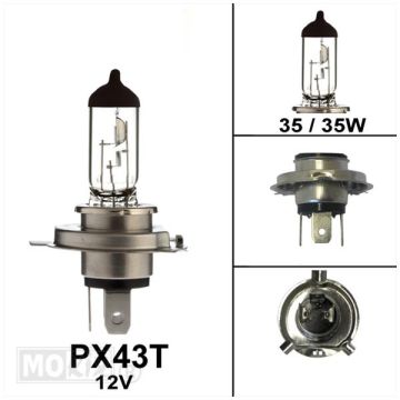 Bulb 12V PX43T 35/35W HS1 CE approval Bollard