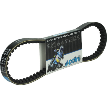 Belt Polini Speedake/Vivacity Kevlar 248.038