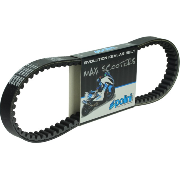 V string Polini Runner 125/180 Kevla