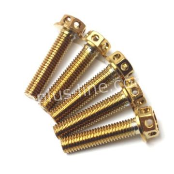 Bolt m6x30 gold 10 pieces