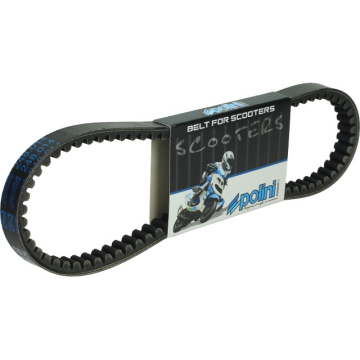 v-belt bux/spe/spf/viva polini 248.014