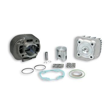 Cylinder kit Minarelli horizontal AC 50cc 40mm 318562 Malossi