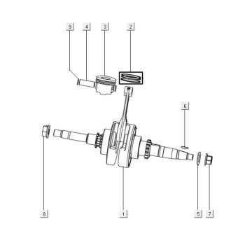 Connecting rod&piston Kymco Filly 50 E5+