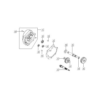 Final Transmission Crankcase Kymco Agility Fat 12' 4-Stroke