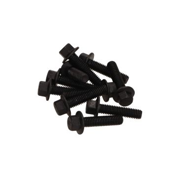 Flange bolts/crankcase bolts set SW 8 M6x25mm length Black 10 pieces