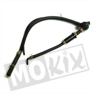 AS KIT CHI WITH FOOD