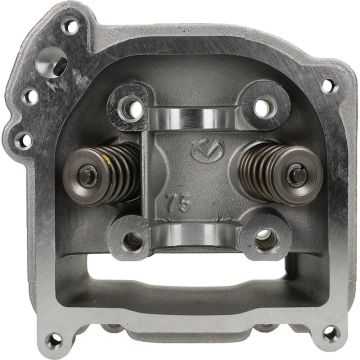 Cylinder head (long valves, without SLS) GY6 original e0206bz