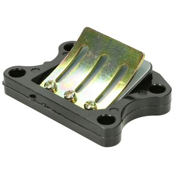Reed valve KY DJ50Y Peugeot vert.