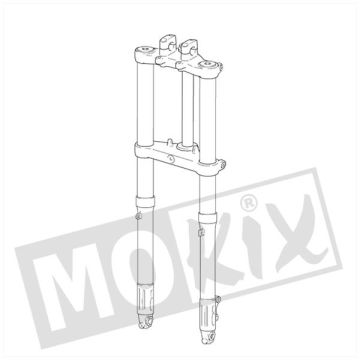 Front fork Rieju Mrt complete