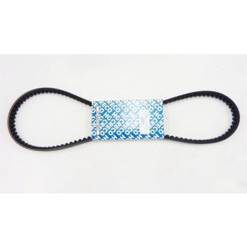 V string Fox Wallaroo Bando