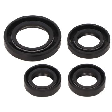 Oil seal kitPeugeot Fox 4 piece TW