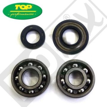 BEARING SEAL SET VE APE 50/90