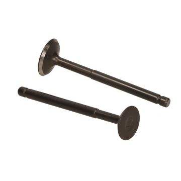 valve set input/outlet Fiddle/Mio/Orbit/Xpro (2 pieces)