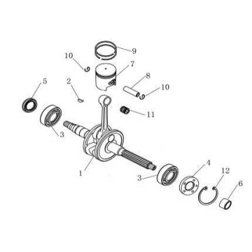 Crankshaft AGM Venom black
