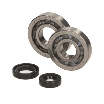 BEARING SEAL KIT SKY SCOOTERS 2T TOP