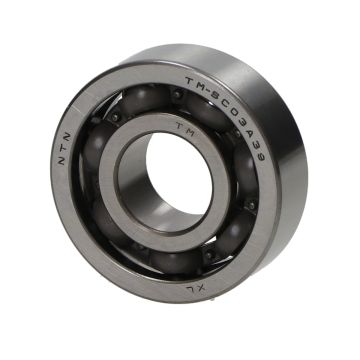 Bearing NTN 17x42x13