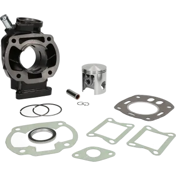 Cylinder Honda Mbx/Mtx80 LC 110ccm 53mm 313738 Malossi