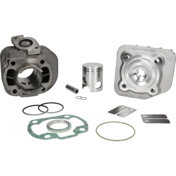 Cylinder kit Minarelli horizontal AC 50cc 40mm 318562 Malossi