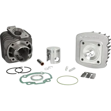 Cylinder kit Honda Bali /SFX 70cc 47mm 318734 Malossi