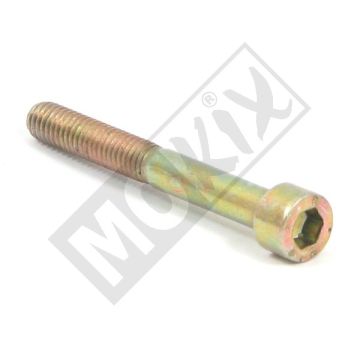 ALLEN BOLT M5x50 RIEJU MX