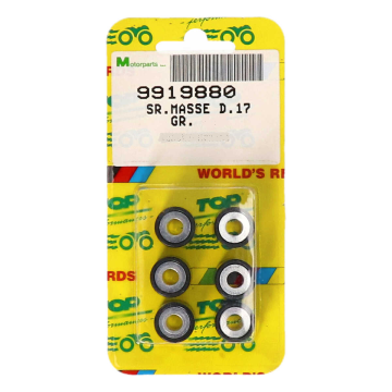 Variator roller set 16x13 Top performances