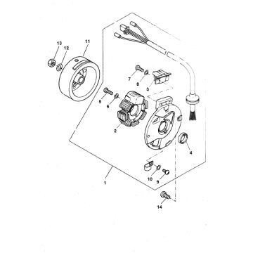 Ignition Yamaha Bw's 2-stroke