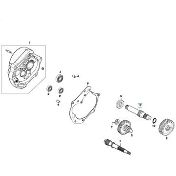 Transmission GY6 10/12 inch (EURO 2; BEFORE 2018)-Overbrenging GY6 10 inch