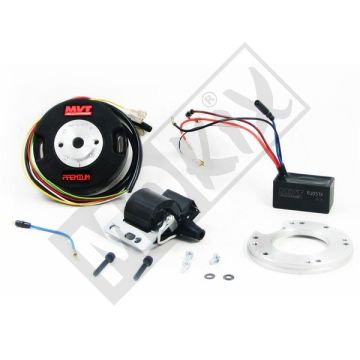 INFLAMMATION MVT ANAL. MIN AM6 E1