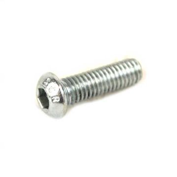 Brake disc socket bolt M6x20 ball head stainless steel 1 piece