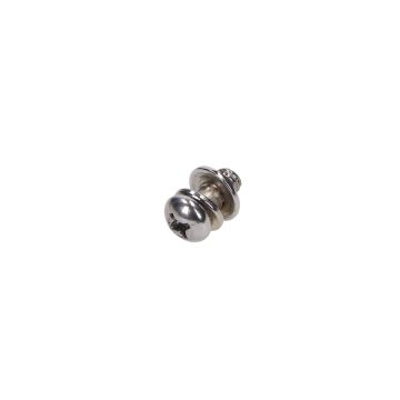 Screw 6x10mm stainless steel