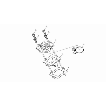 Manifold China Venom black