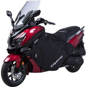 Original Sym Cruisym (Alpha) empty back SY610-WA20644-1