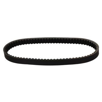 BELT DAYCO 22 x 778 CYGNUS