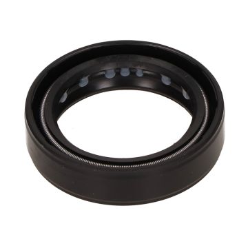 Vv seal Rieju Rr/Spike