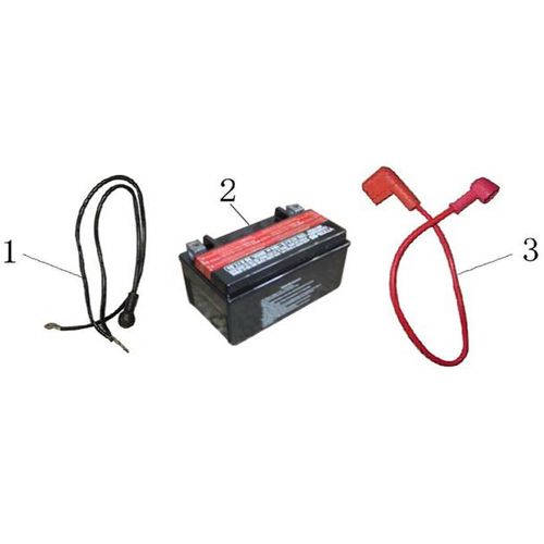 Battery BTC Bellagio 12