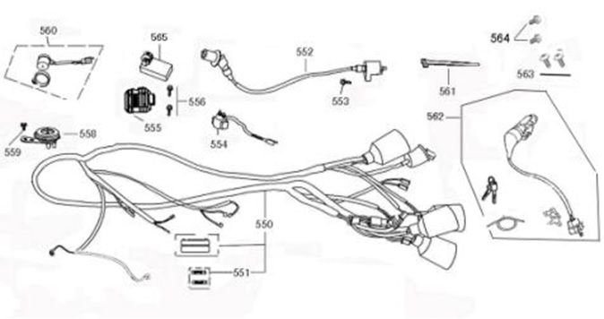 Ignition switch - Wiring harness Berini Sprint 50 4T AC brown
