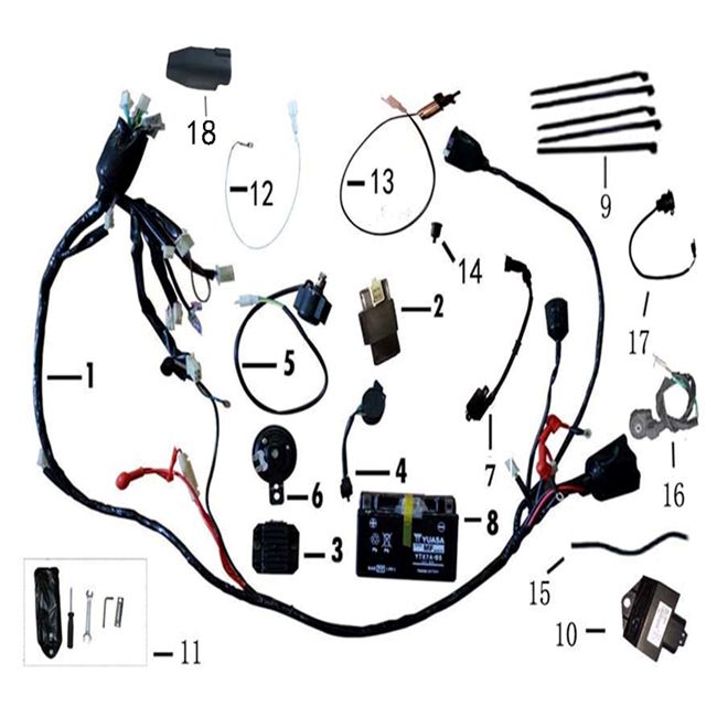 Electronic Parts BTC Ceo New