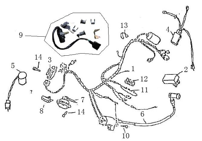 Wiring harness - Ignition switch Killerbee Custom 50 4T AC anthracite