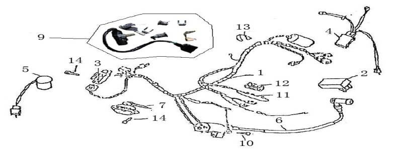 AGM GT wiring harness blue