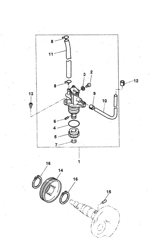Oil Pump Yamaha Bw's 2-Stroke