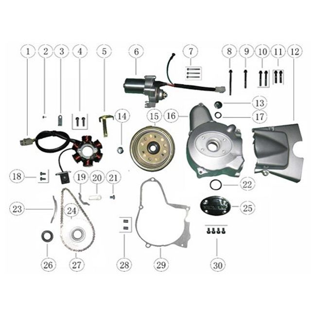 Ignition Agm Caferacer