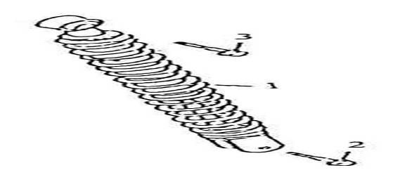 Shock absorber AGM GT white