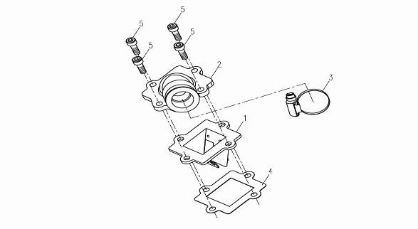 Manifold China Venom black